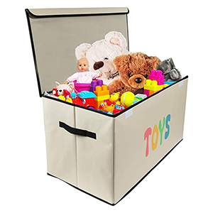 Kids Toy Chests and Organizers